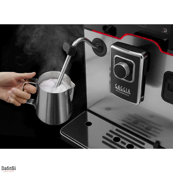 Кофеварка автоматическая Gaggia Accademia Inox SS RI9782/01 фото