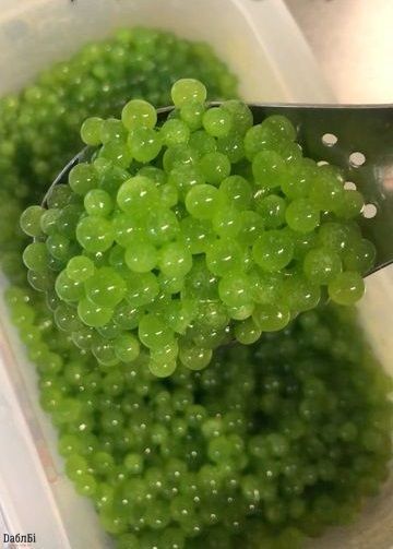 Bubble tea (Бабл Ті) фруктові кульки зі смаком Яблука 3,2 кг BBT0017 фото
