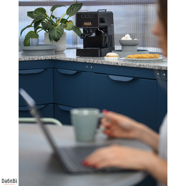 Кофеварка рожковая Gaggia Evolution Espresso Black EG2115/01 фото