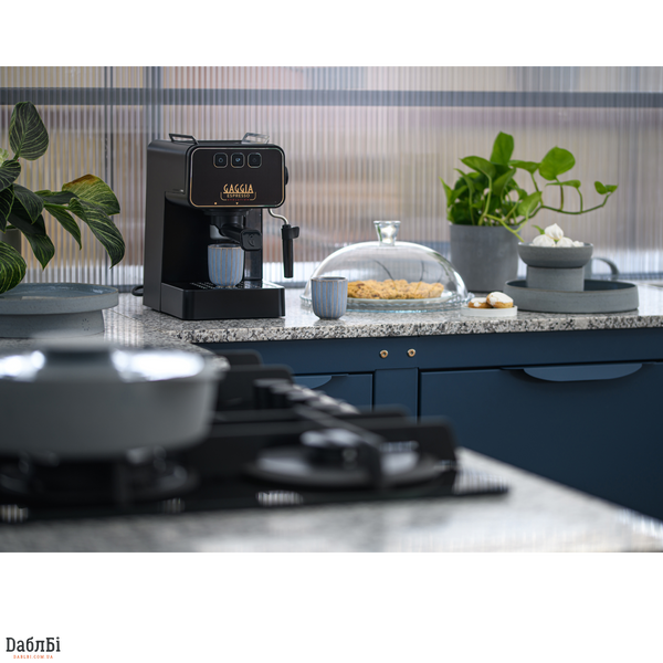 Кофеварка рожковая Gaggia Evolution Espresso Black EG2115/01 фото